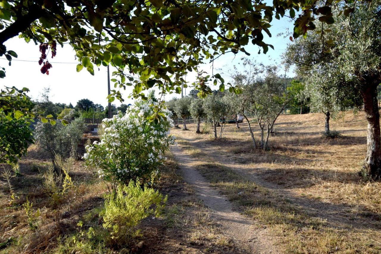 Ola Linda - Casa de Campo - rustica Castelo de Vide Exterior foto