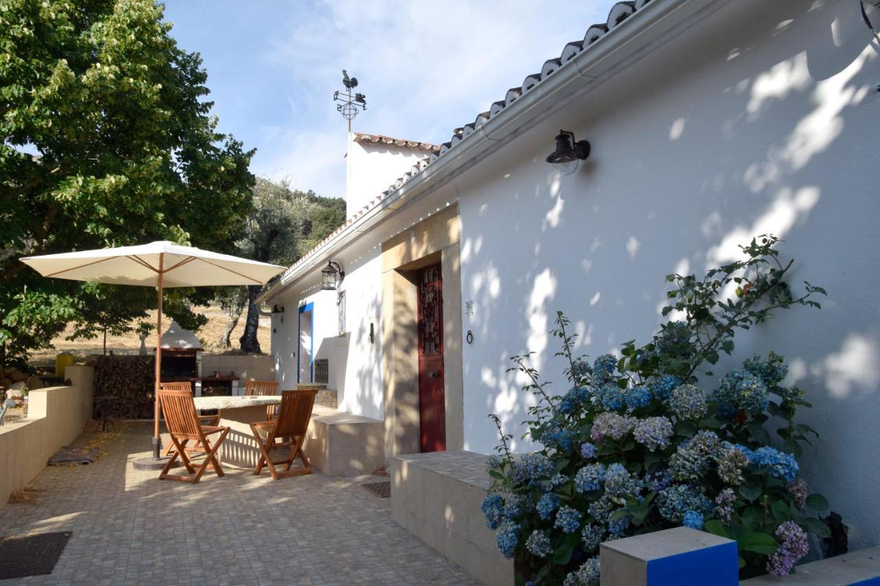 Ola Linda - Casa de Campo - rustica Castelo de Vide Exterior foto